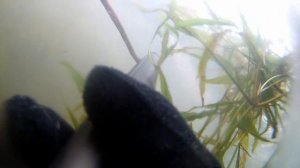 За Щукой По-быстрому. Мотобуксировщик Омич.