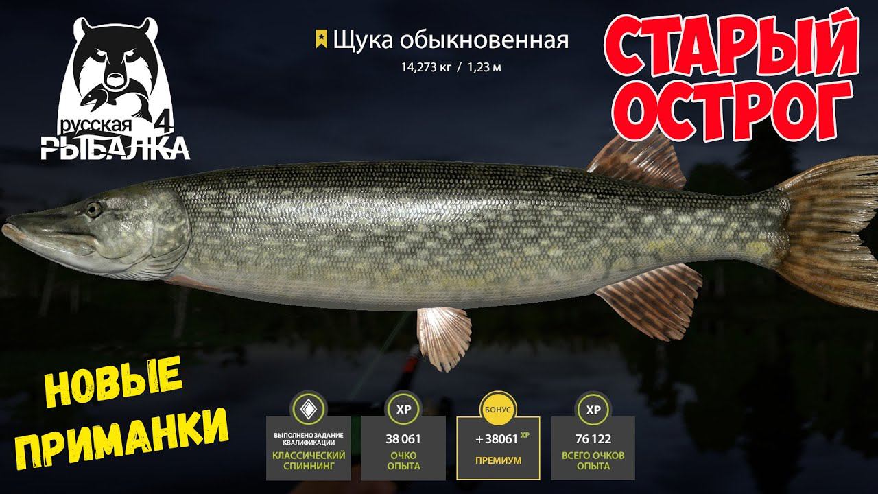 ФАРМ НА ЩУКЕ НА НОВЫЕ ПРИМАНКИ НА СТАРОМ ОСТРОГЕ, РУССКАЯ РЫБАЛКА 4 РР4 смотреть онлайн