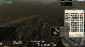 #77 ArcheAge. Глайдер биплан.  Как нанести рисунок