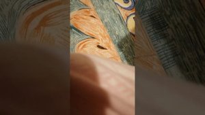 #Павел #Ясносвет. Мечты.Таро.