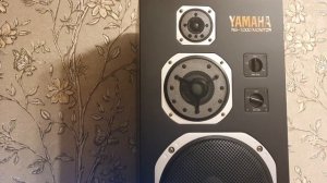 Акустика Yamaha Ns 1000 M