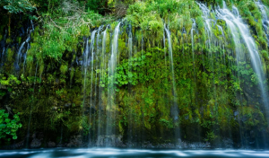 Свежий водопад - Естественные звуки белого шума - Текущая вода ✦ Звуки Леса И Пение Птиц ✦ Birdsong