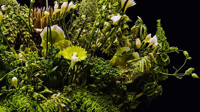 Azuma Makoto Drop Time vol.22_right_120s_loop смотреть онлайн