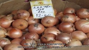 Репчатый лук на зиму в банках: как правильно засолить