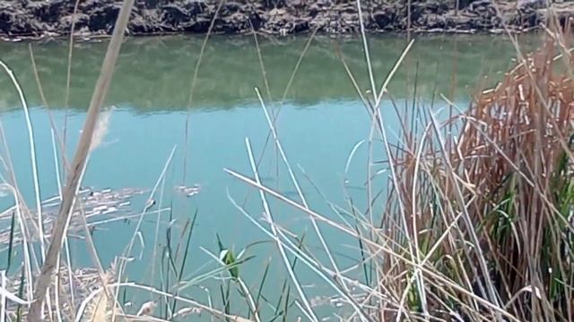 Рыбалка н1#10 смотреть онлайн