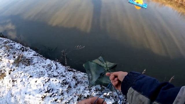 Ставок возле дома вместо огорода, разведение раков и рыбы в домашних условиях