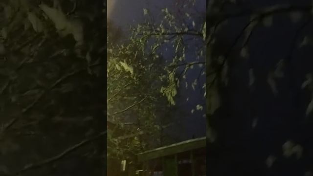 Стройные Березы, погода на Сахалине, весна