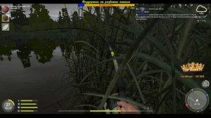 🔴 Russian Fishing 4 оз. Медвежье Ловим карпа, новые бойлы работают?