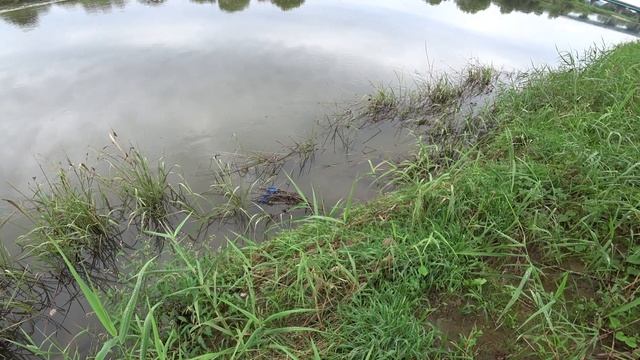 Охота с Рогаткой по реке SLINGSHOT FISHING(АРХИВ) смотреть онлайн