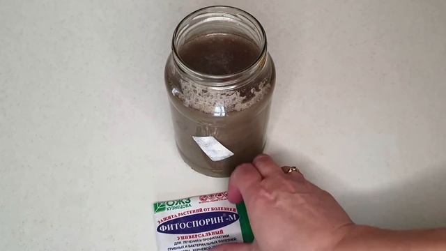 Фитоспорин надежный помощник рассады. Когда, как и зачем применять смотреть онлайн