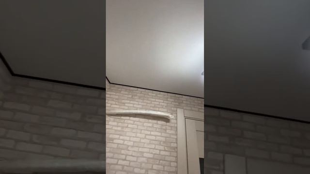 Трековое освещение на натяжном потолке #натяжнойпотолок #натяжныепотолки #трековыесветильники