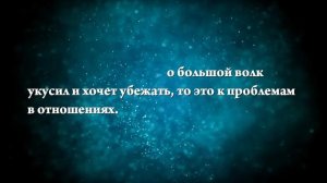 К чему снится, что укусил волк - Онлайн Сонник Эксперт