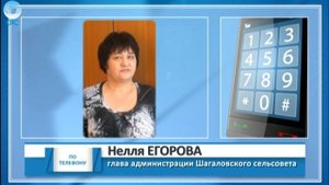 За деревней, у реки, рубят лес мужики. Почему исчезает берёзовая роща в Коченевском районе?