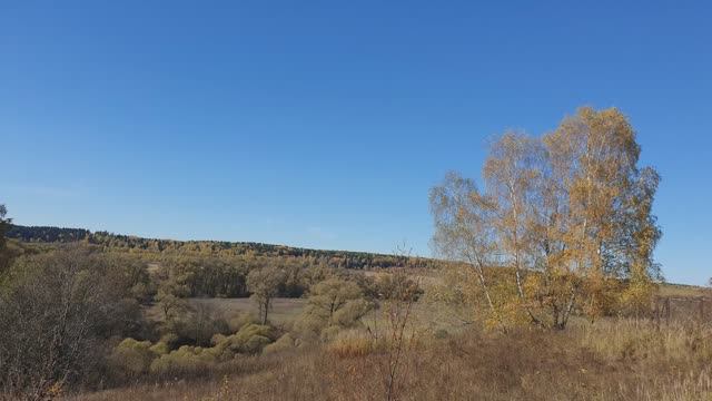 Осень