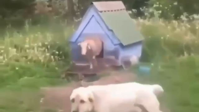 Барон это кто