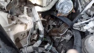 Подогреватель на авто. Куда поставить? Установка на Фиат Скудо.Пежо эксперт. Электроподогрев тосола