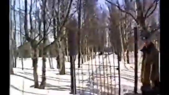 Тверская область дорохова смотреть онлайн