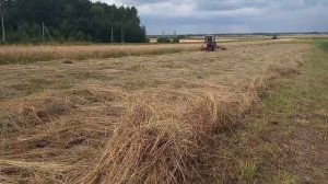 Грабли солнышко для уборки сена!И трактор Т 25