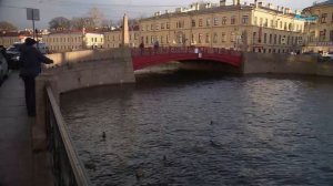Мойка / «Малые родины большого Петербурга»