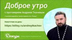 Яблоко - Протоиерей Андрей Ткачев, протоиерей Димитрий Смирнов и директор НИИ Олег Аполихин