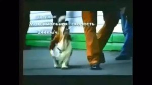 Реклама опель астра 2006 года
