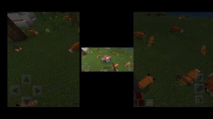 как сделать ловушку для лисы