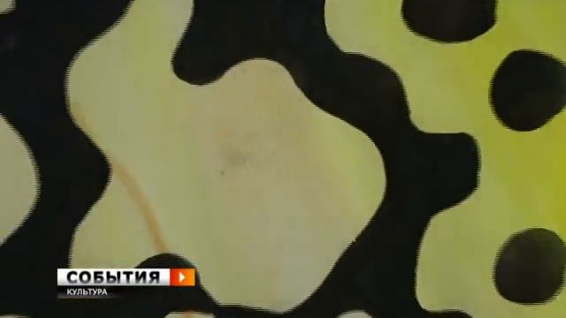 В Самаре открылась выставка Зигмара Польке смотреть онлайн