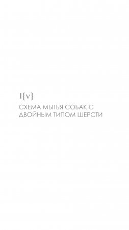 Схема мытья собак с двойным типом шерсти