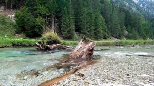 4K Лесная река, расслабляющие звуки природы / Красивый звук горной реки