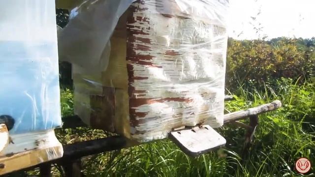 Изготовление улья из ППС. Пластиком обшиваю внутри и снаружи. Восьмирамочный или шестирамочный смотреть онлайн