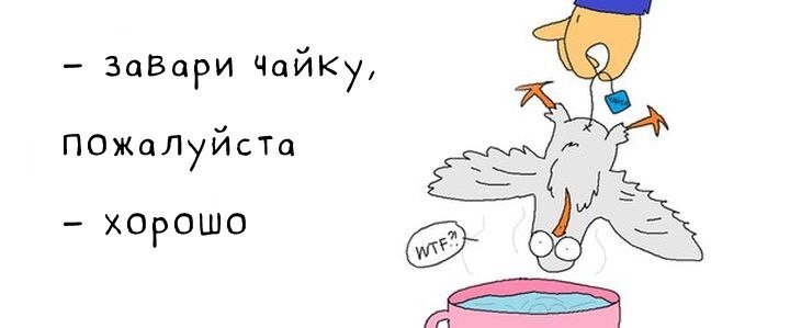 Может чайку а может тебя картинка