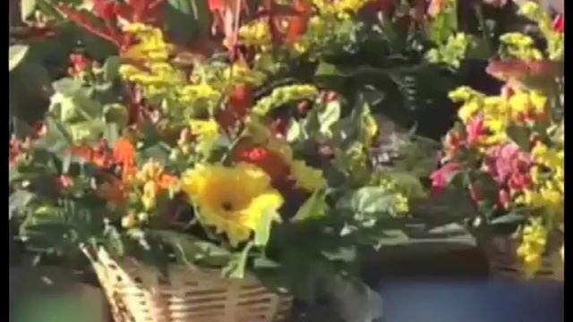 Почему так улицу назвали? смотреть онлайн