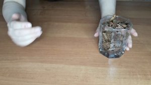 Пошаговый рецепт грунта для ароидных: аглаонема, сингониум, каладиум, алоказия, марантовые