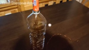 Как избавиться от мошек?