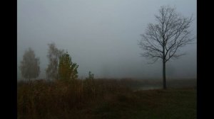 Полгода плохая погода (Максим Дунаевский)@