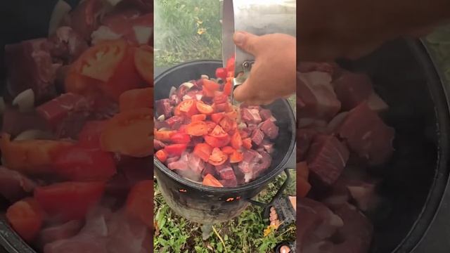 Хашлама из говядины) смотреть онлайн