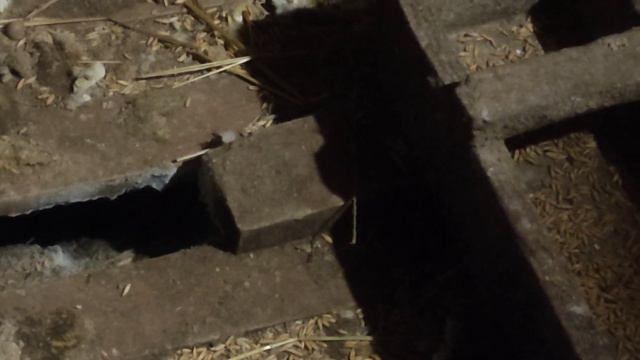 КОЗА НЕ ПОКРЫТА.ЛУЧШАЯ КОРМУШКА ДЛЯ КОЗ смотреть онлайн