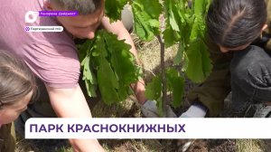 Парк краснокнижных растений появился на туристическом маршруте в Приморье