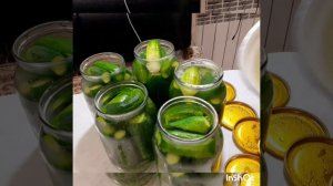Огурцы маринованные с петрушкой #огурцымаринованныеназимуспетрушкой