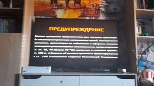 Реклама На DVD-Диск Три Богатыря И Принцесса Египта (2017)