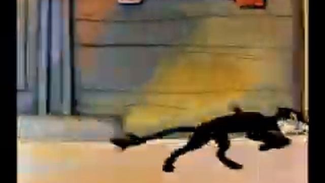 Котёнок гав(прикол) .avi смотреть онлайн