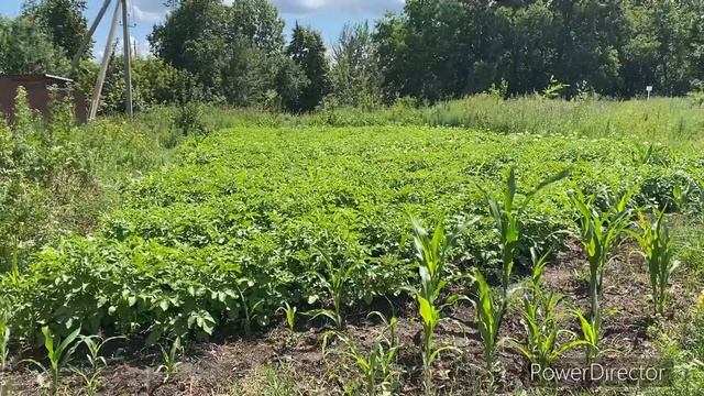 43.000₽ НА ЗАБОР С СОСЕДЯМИ смотреть онлайн