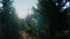 Римма Амангильдина