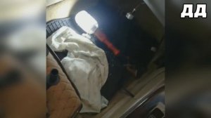 Жесть на СТО или будни АВТОМЕХАНИКОВ #18 Подборка ЖЕСТЬ ВЕДРО КОМПРЕССИИ