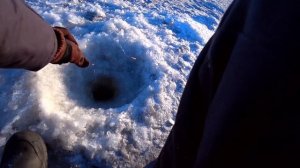 Ловлю Конька на реке Зея.  Район Судоверфи.  Благовещенск.  Амурская область