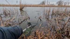 РЫБАЛКА НА ПОПЛАВОК, ЖОР КАРАСЯ В КАМЫШАХ, ВЕСНА 2022