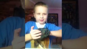 Игрушка Хищник.