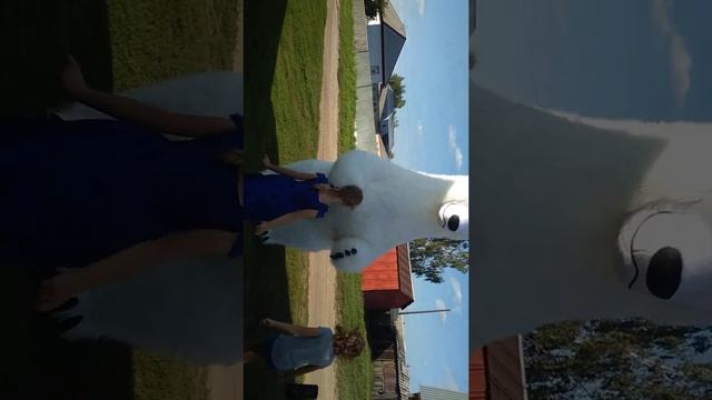 день рождения внучки виктории смотреть онлайн