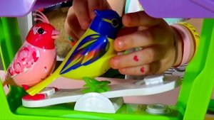 DigiBirds Не Поёт?! Интерактивная Птичка Игрушка | Видео для Детей | Dana Kids TV