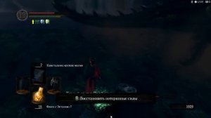 Dark Souls - Простой способ отрубить хвост Каламиту (NG++)